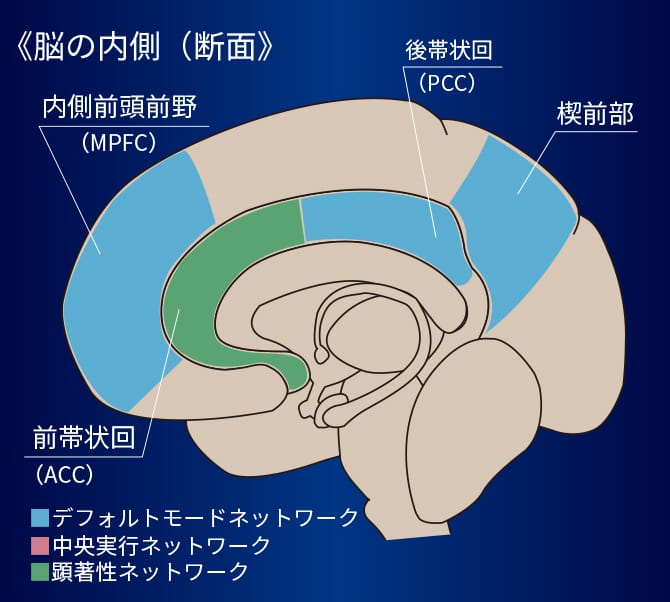 脳の内側（断面）ネットワークの画像です。中央実行ネットワークの領域として内側前頭前野（MPFC）・後帯状回（PCC）・楔前部が青色で、顕著性ネットワークの領域として前帯状回（ACC）が緑色で図示されます。