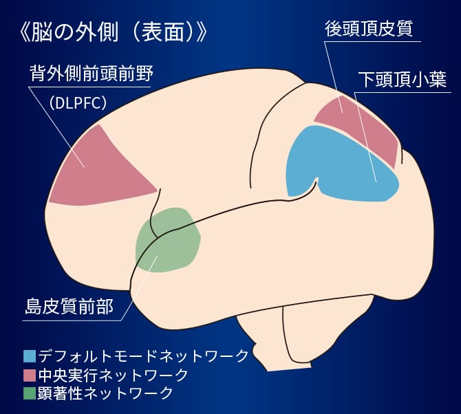 脳の外側（表面）ネットワークの画像です。デフォルトモードネットワークの領域として下頭頂小葉が青色で、中央実行ネットワークの領域として背外側前頭前野（DLPFC）・後頭頂皮質が赤色で、顕著性ネットワークの領域として島皮質前部が緑色で図示されます。