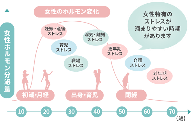 ライフイベントと女性ホルモン分泌量の変化