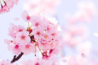 「春」に多いうつ病~季節や環境の変化には注意が必要~