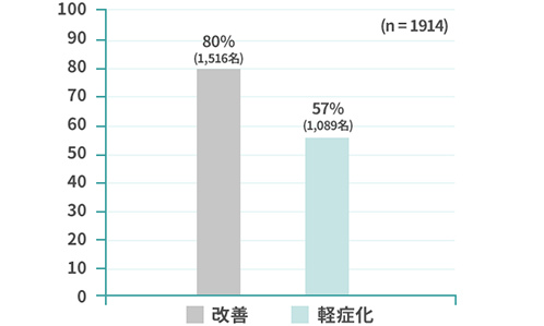 治療実績