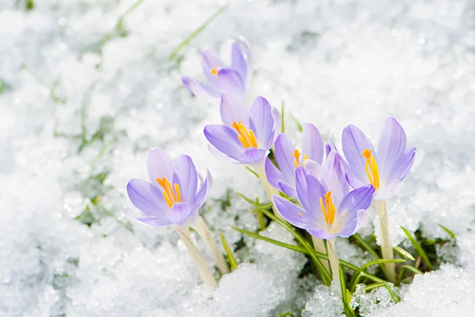 早めに気づき、早めに向き合うことが改善への近道です。私たちと一緒に回復を目指しましょう。