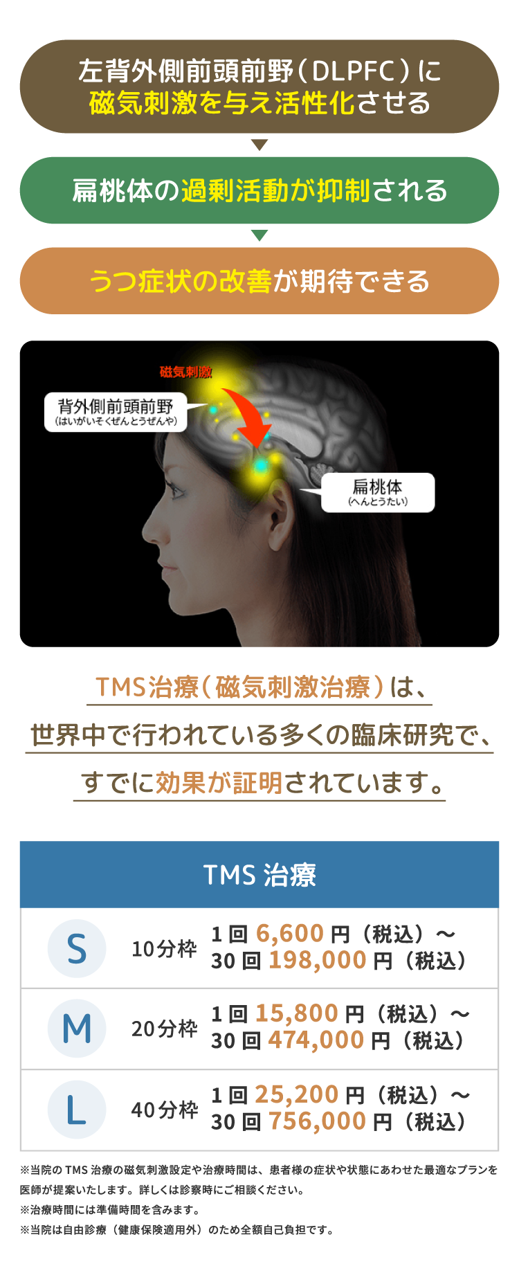 左背外側前頭前野（DLPFC）に磁気刺激を与え活性化させる→ 扁桃体の過剰活動が抑制される→  うつ症状の改善が期待できる TMS治療（電気刺激治療）は世界中で行われている多くの臨床研究で、すでに効果が証明されています。TMS治療 10分枠:1回 6,600円（税込）～ ,30回 198,000円（税込） 20分枠:1回 15,800円（税込）～ ,30回 474,000円（税込） 40分枠:1回 25,200円（税込）～,30回 756,000円（税込）